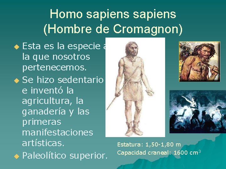 Homo sapiens (Hombre de Cromagnon) Esta es la especie a la que nosotros pertenecemos.