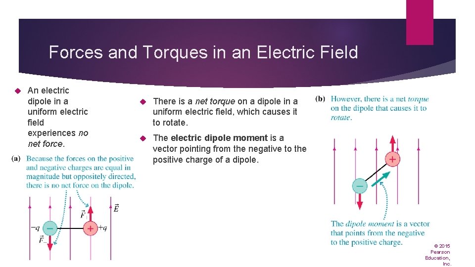 Forces and Torques in an Electric Field An electric dipole in a uniform electric