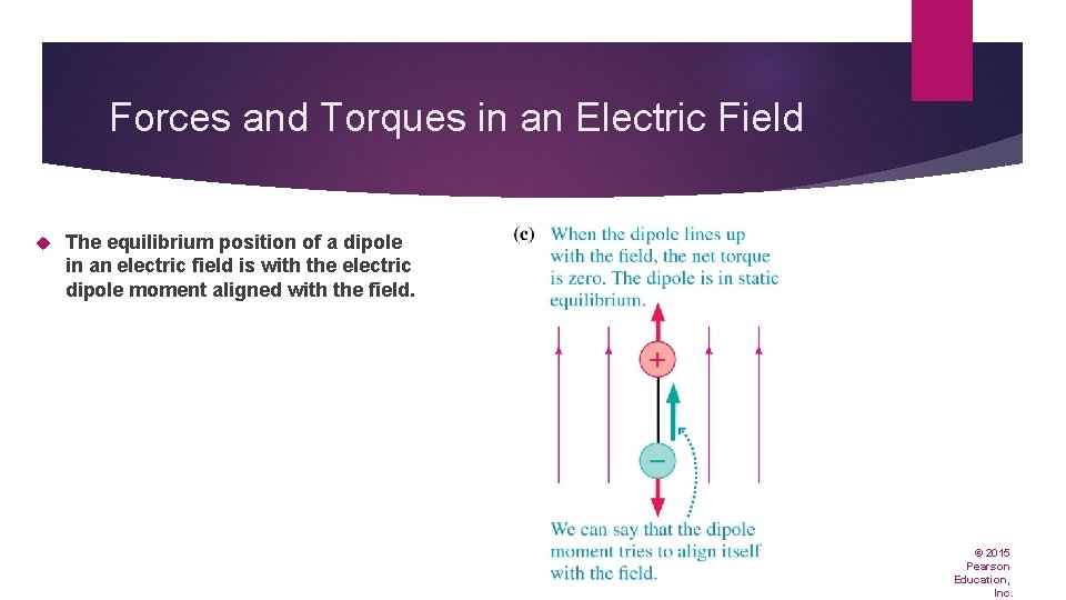 Forces and Torques in an Electric Field The equilibrium position of a dipole in