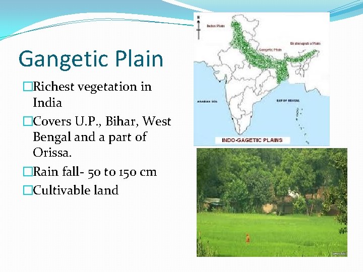 Gangetic Plain �Richest vegetation in India �Covers U. P. , Bihar, West Bengal and