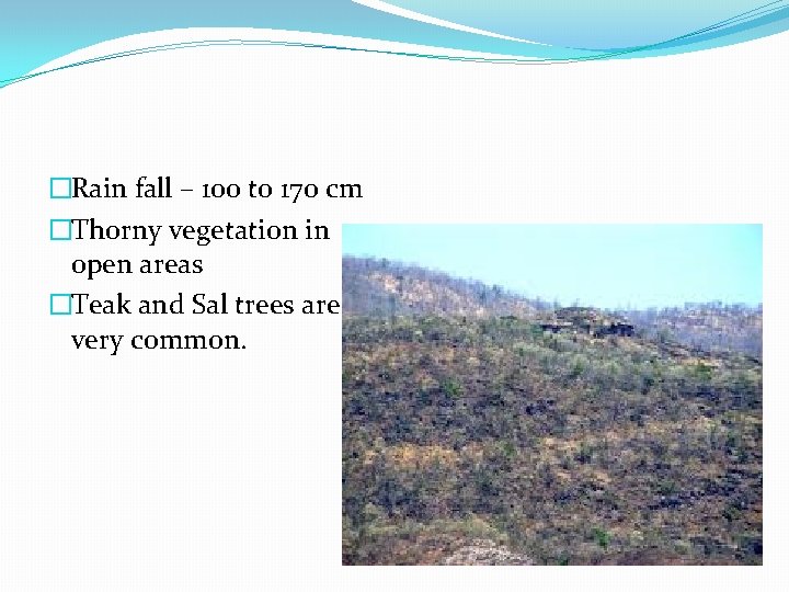 �Rain fall – 100 to 170 cm �Thorny vegetation in open areas �Teak and
