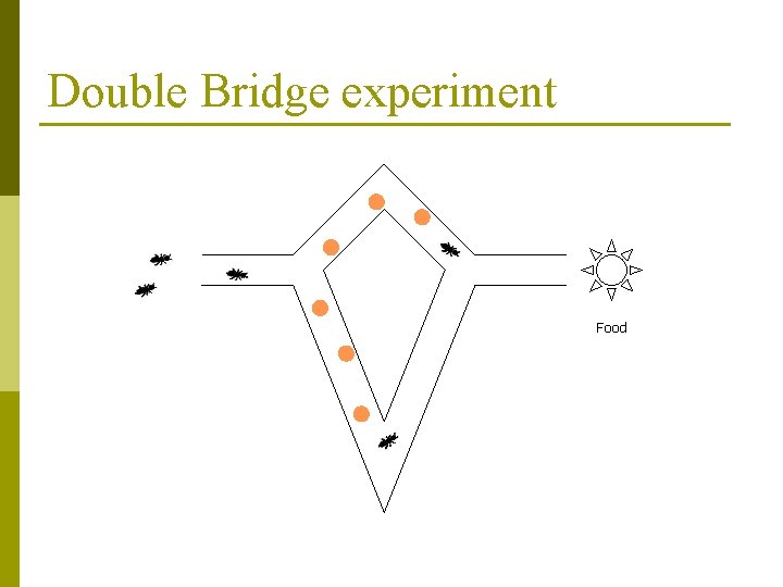 Double Bridge experiment Food 