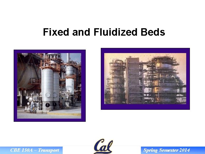 Fixed and Fluidized Beds CBE 150 A – Transport Spring Semester 2014 