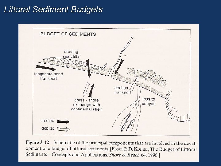 Littoral Sediment Budgets 