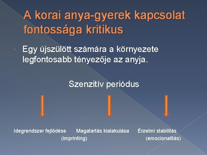 A korai anya-gyerek kapcsolat fontossága kritikus Egy újszülött számára a környezete legfontosabb tényezője az