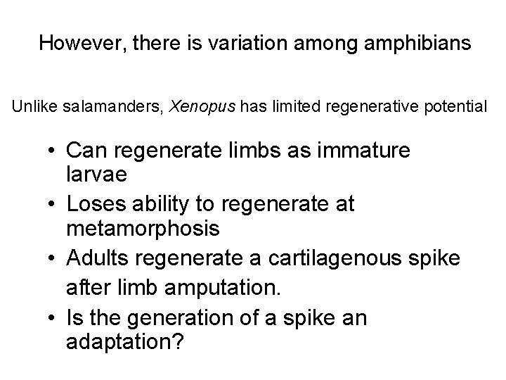 However, there is variation among amphibians Unlike salamanders, Xenopus has limited regenerative potential • However, there is variation among amphibians Unlike salamanders, Xenopus has limited regenerative potential •