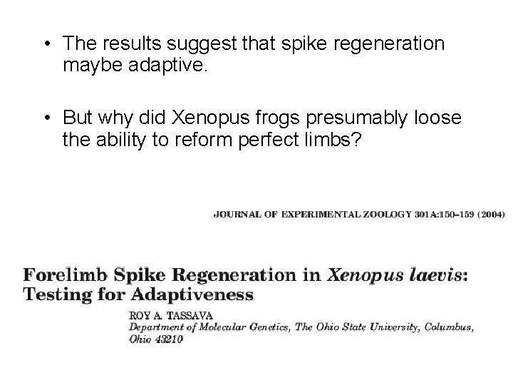• The results suggest that spike regeneration maybe adaptive. • But why did • The results suggest that spike regeneration maybe adaptive. • But why did