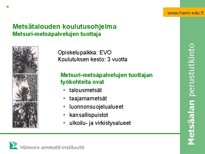 18 www. hami-edu. fi Metsätalouden koulutusohjelma Opiskelupaikka: EVO Koulutuksen kesto: 3 vuotta Metsuri-metsäpalvelujen tuottajan