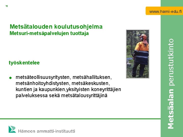 19 www. hami-edu. fi Metsätalouden koulutusohjelma työskentelee u metsäteollisuusyritysten, metsähallituksen, metsänhoitoyhdistysten, metsäkeskusten, kuntien ja