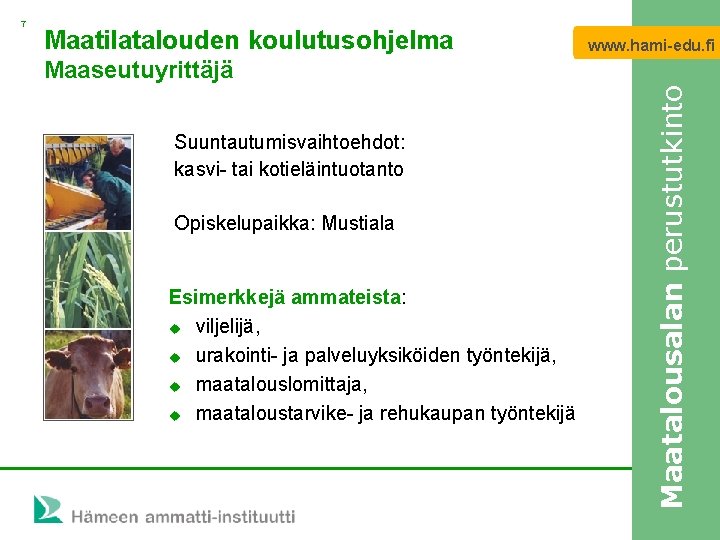 Maatilatalouden koulutusohjelma www. hami-edu. fi Maaseutuyrittäjä Suuntautumisvaihtoehdot: kasvi- tai kotieläintuotanto Opiskelupaikka: Mustiala Esimerkkejä ammateista: