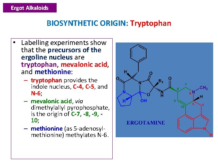 Ergot Alkaloids BIOSYNTHETIC ORIGIN: Tryptophan • Labelling experiments show that the precursors of the