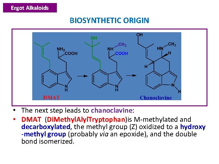 Ergot Alkaloids BIOSYNTHETIC ORIGIN • The next step leads to chanoclavine: chanoclavine • DMAT