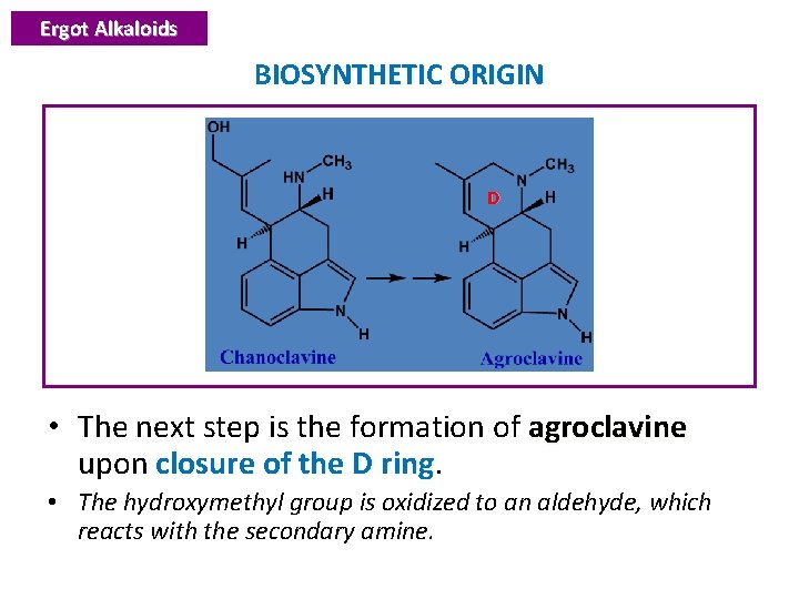 Ergot Alkaloids BIOSYNTHETIC ORIGIN D • The next step is the formation of agroclavine