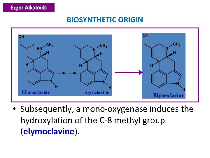 Ergot Alkaloids BIOSYNTHETIC ORIGIN • Subsequently, a mono-oxygenase induces the hydroxylation of the C-8