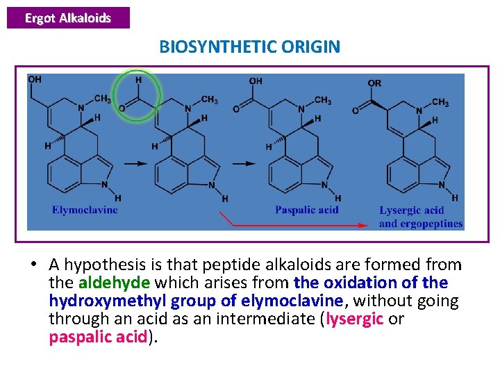 Ergot Alkaloids BIOSYNTHETIC ORIGIN • A hypothesis is that peptide alkaloids are formed from