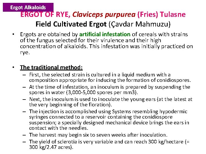 Ergot Alkaloids ERGOT OF RYE, Claviceps purpurea (Fries) Tulasne Field Cultivated Ergot (Çavdar Mahmuzu)