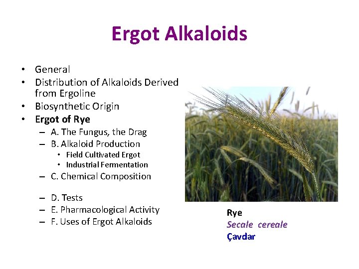 Ergot Alkaloids • General • Distribution of Alkaloids Derived from Ergoline • Biosynthetic Origin
