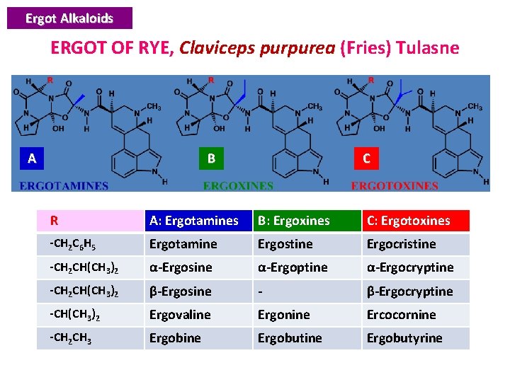 Ergot Alkaloids ERGOT OF RYE, Claviceps purpurea (Fries) Tulasne A B C R A: