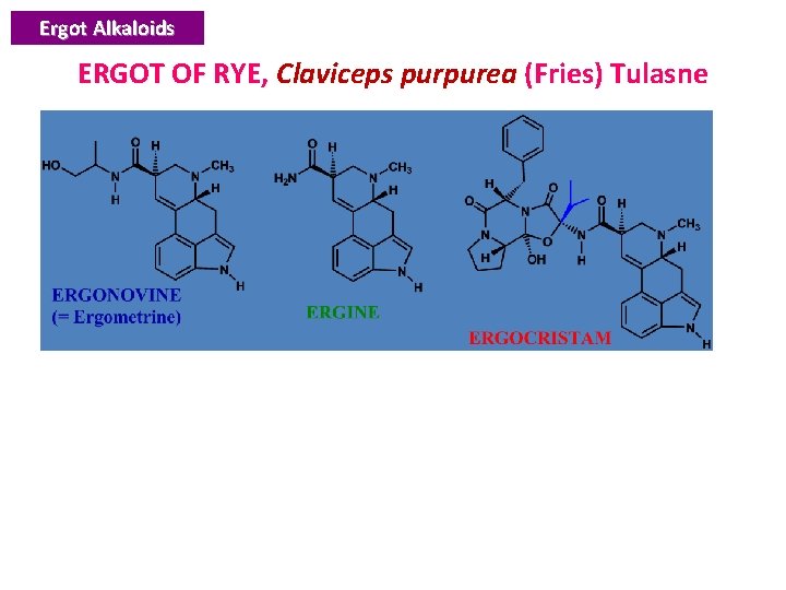 Ergot Alkaloids ERGOT OF RYE, Claviceps purpurea (Fries) Tulasne 