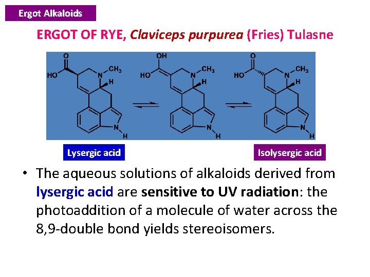 Ergot Alkaloids ERGOT OF RYE, Claviceps purpurea (Fries) Tulasne Lysergic acid Isolysergic acid •