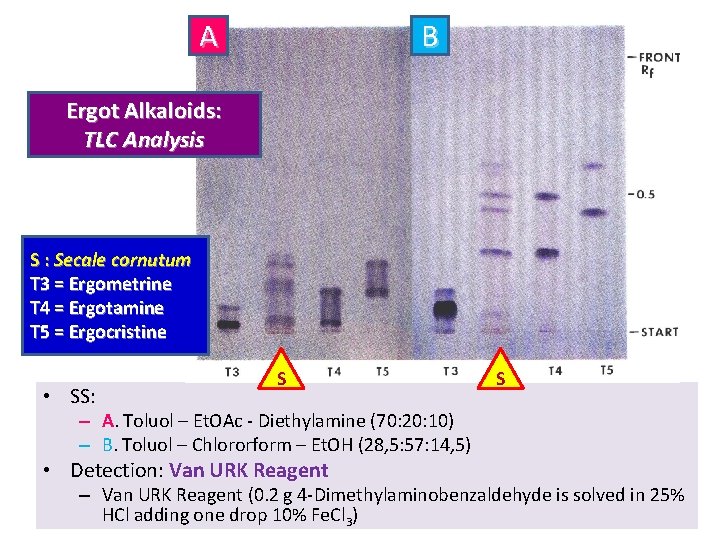 A B Ergot Alkaloids: TLC Analysis S : Secale cornutum T 3 = Ergometrine