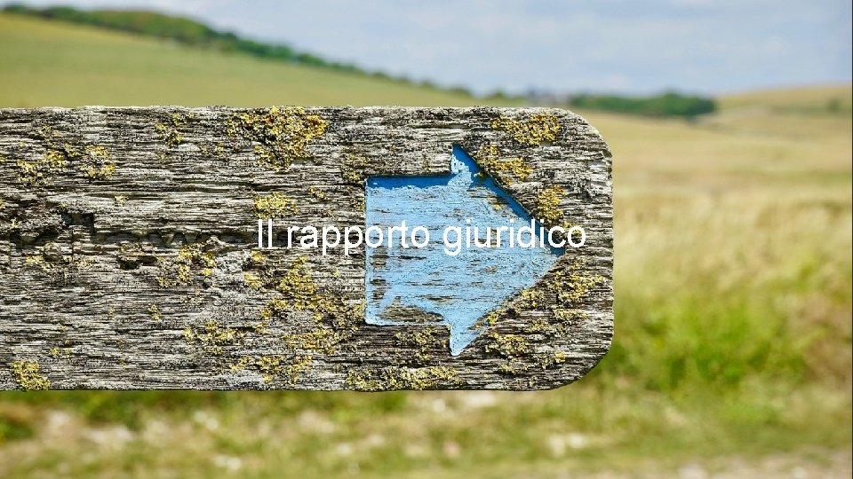 Il rapporto giuridico Il rapporto giuridico