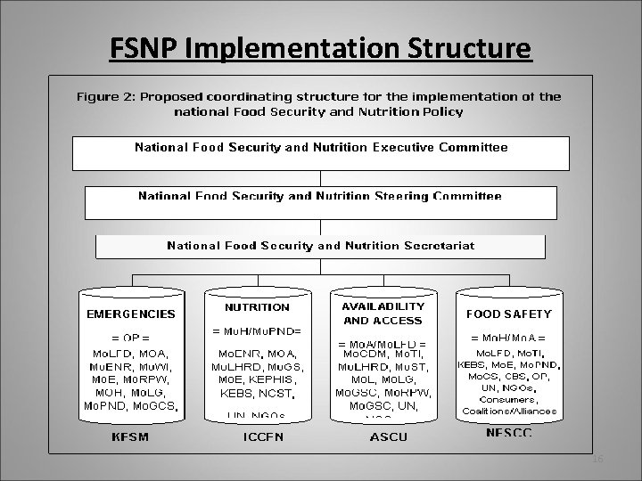 FSNP Implementation Structure 16 