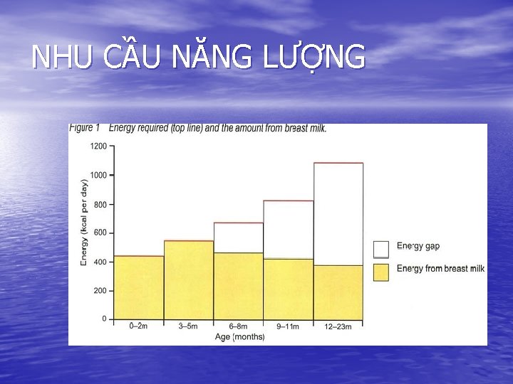 NHU CẦU NĂNG LƯỢNG 