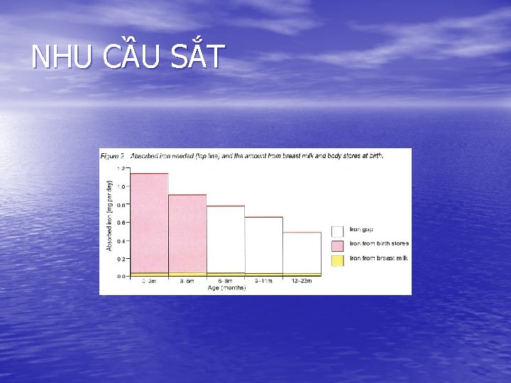 NHU CẦU SẮT 