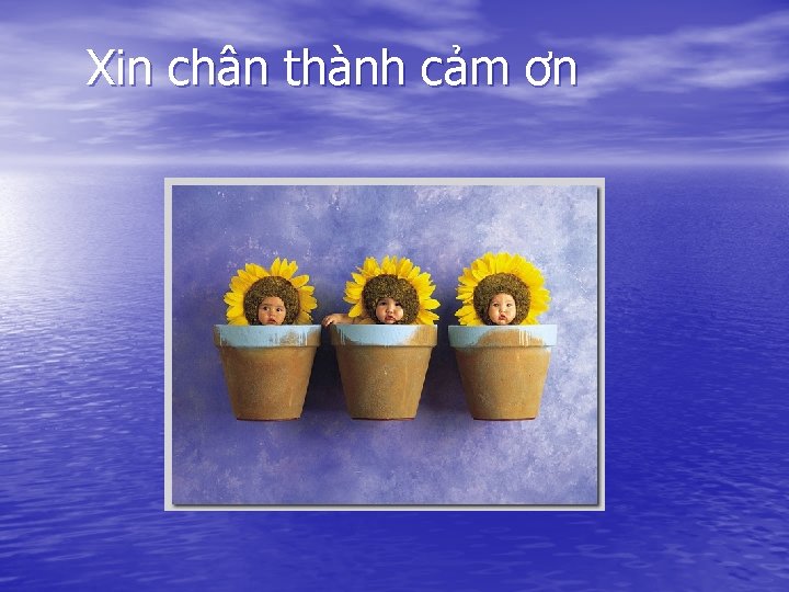 Xin chân thành cảm ơn 