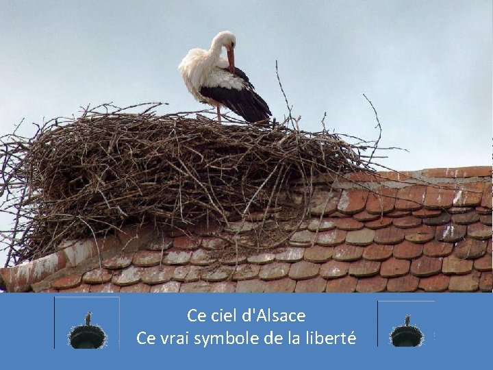 Ce ciel d'Alsace Ce vrai symbole de la liberté 