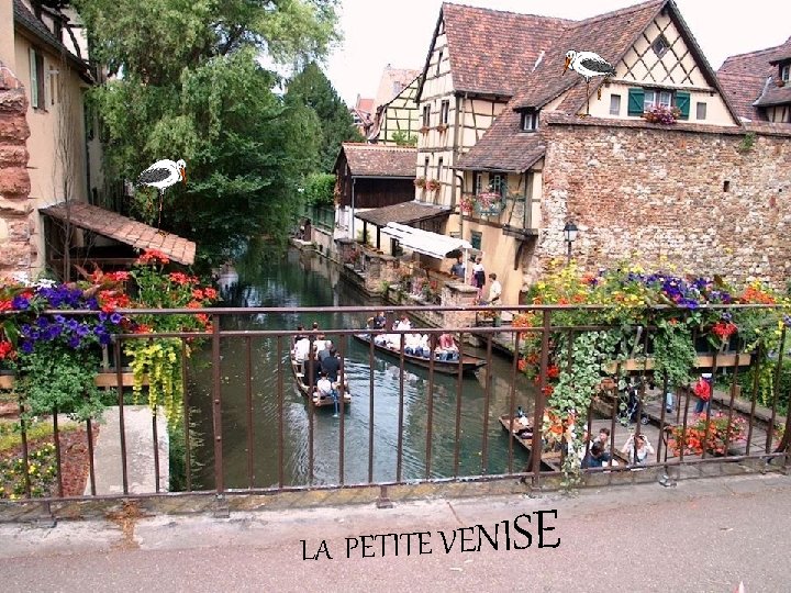 LA PETITE VENI SE 