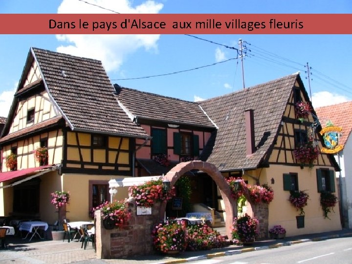 Dans le pays d'Alsace aux mille villages fleuris 