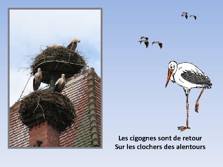 Les cigognes sont de retour Sur les clochers des alentours 