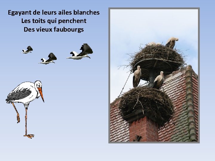 Egayant de leurs ailes blanches Les toits qui penchent Des vieux faubourgs 