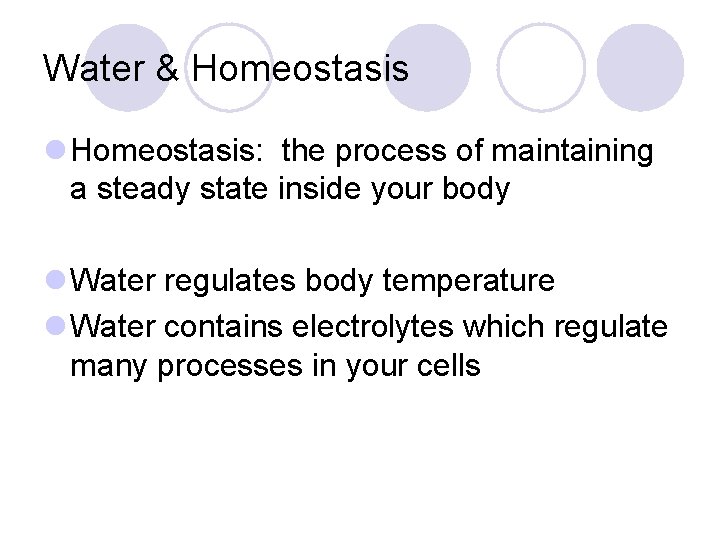 Water & Homeostasis l Homeostasis: the process of maintaining a steady state inside your