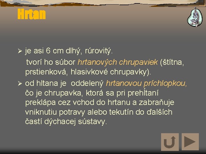 Hrtan je asi 6 cm dlhý, rúrovitý. tvorí ho súbor hrtanových chrupaviek (štítna, prstienková, Hrtan je asi 6 cm dlhý, rúrovitý. tvorí ho súbor hrtanových chrupaviek (štítna, prstienková,