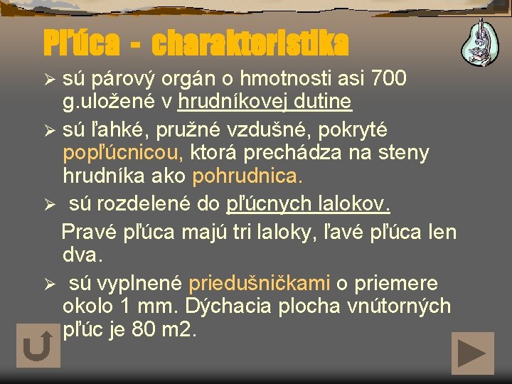 Pľúca - charakteristika sú párový orgán o hmotnosti asi 700 g. uložené v hrudníkovej Pľúca - charakteristika sú párový orgán o hmotnosti asi 700 g. uložené v hrudníkovej
