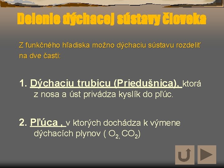 Delenie dýchacej sústavy človeka Z funkčného hľadiska možno dýchaciu sústavu rozdeliť na dve časti: