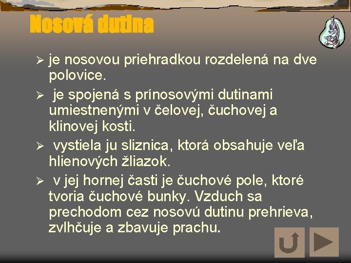 Nosová dutina je nosovou priehradkou rozdelená na dve polovice. Ø je spojená s prínosovými Nosová dutina je nosovou priehradkou rozdelená na dve polovice. Ø je spojená s prínosovými