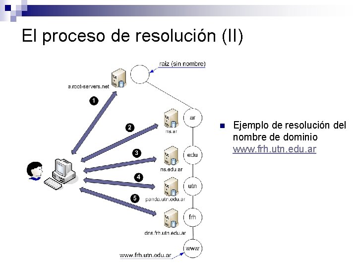 El proceso de resolución (II) n Ejemplo de resolución del nombre de dominio www. El proceso de resolución (II) n Ejemplo de resolución del nombre de dominio www.
