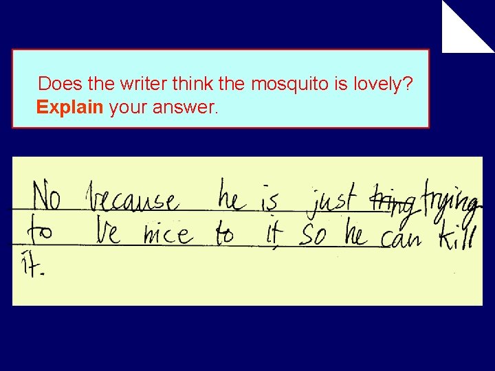 Does the writer think the mosquito is lovely? Explain your answer. 