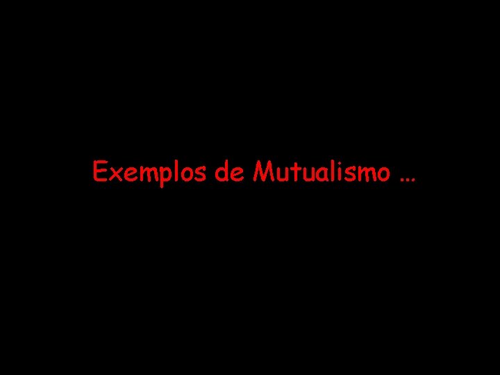 Exemplos de Mutualismo … 