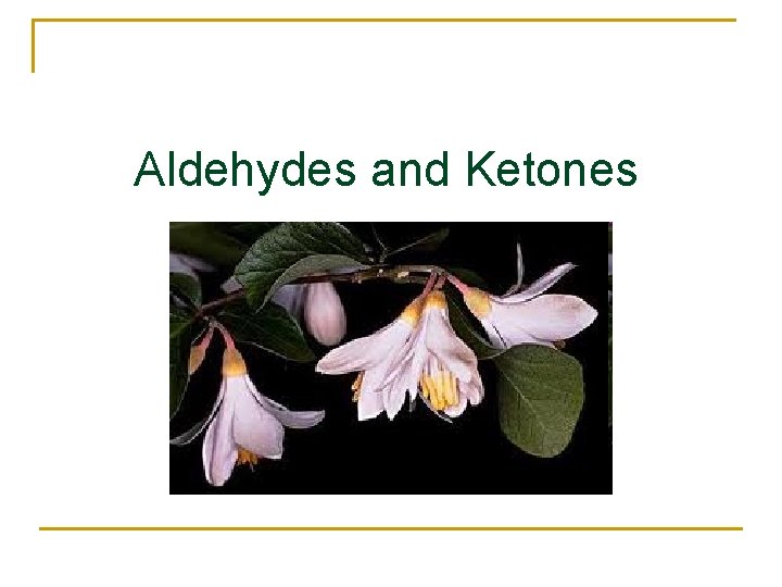 Aldehydes and Ketones 