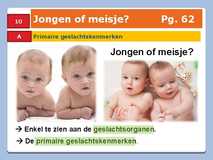 Bd 2 dagen voor de eisprong jongen of meisje