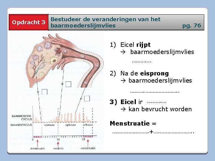 10 A Jongen Of Meisje Pg 62 Primaire