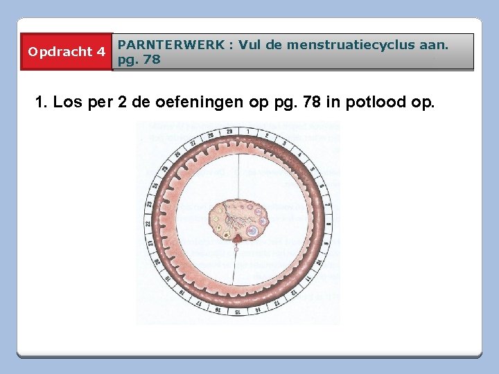 10 A Jongen Of Meisje Pg 62 Primaire