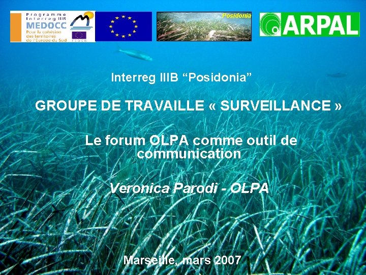 Posidonia Interreg IIIB “Posidonia” GROUPE DE TRAVAILLE « SURVEILLANCE » Le forum OLPA comme