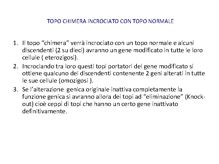 TOPO CHIMERA INCROCIATO CON TOPO NORMALE 1. Il topo “chimera” verrà incrociato con un