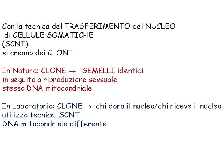 Con la tecnica del TRASFERIMENTO del NUCLEO di CELLULE SOMATICHE (SCNT) si creano dei